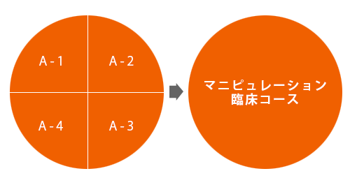 マニピュレーション臨床コース