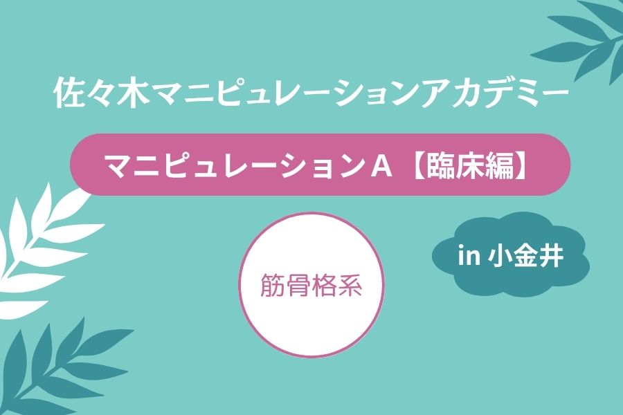 7/20 マニピュレーションＡ【臨床編セミナー】